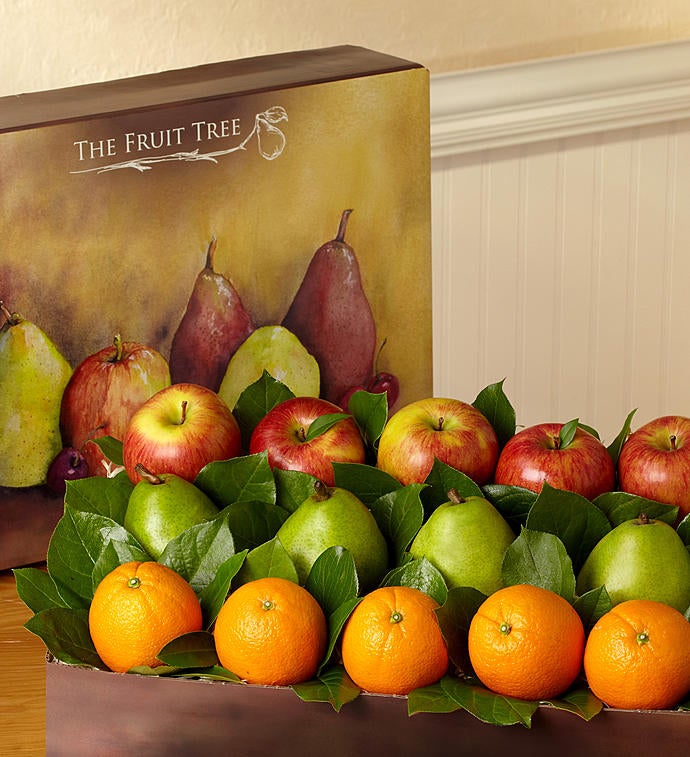Arbor Harvest Fruit Collection